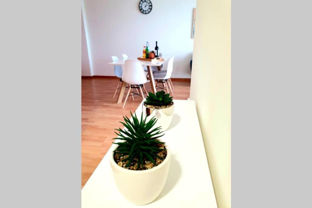Hill & Sea House Apartment Рибейра Гранде Екстериор снимка